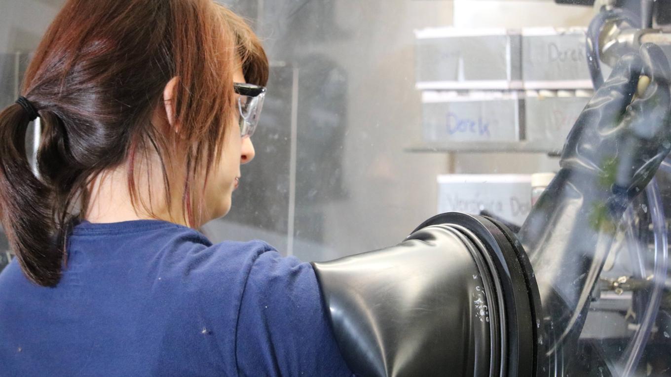 A picture of a girl doing research in a lab