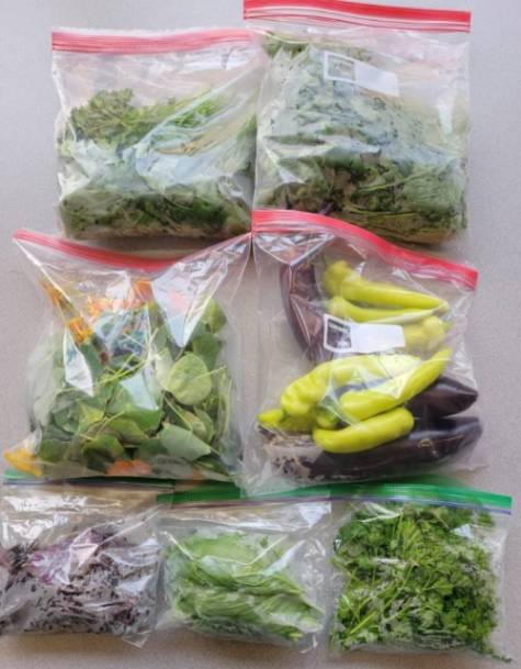 Vegetables harvested from the Community Produce Garden