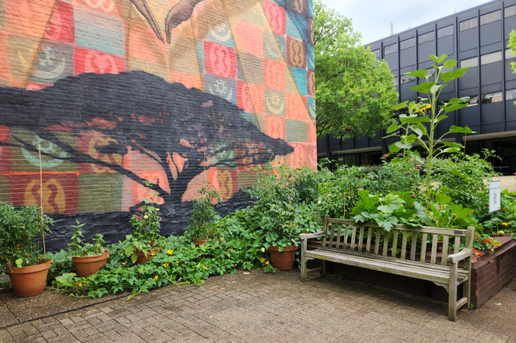 Produce Garden in Front of Mural