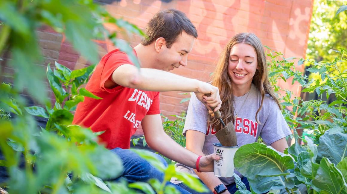 Students working in campus produce garden. 