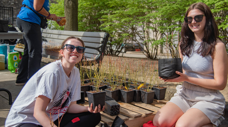 Students planting blueberry bushes