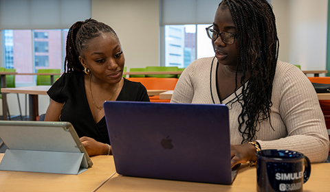 Two students discussing topics seen on laptop in front of them.