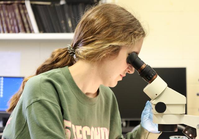 girl looking into a microscope