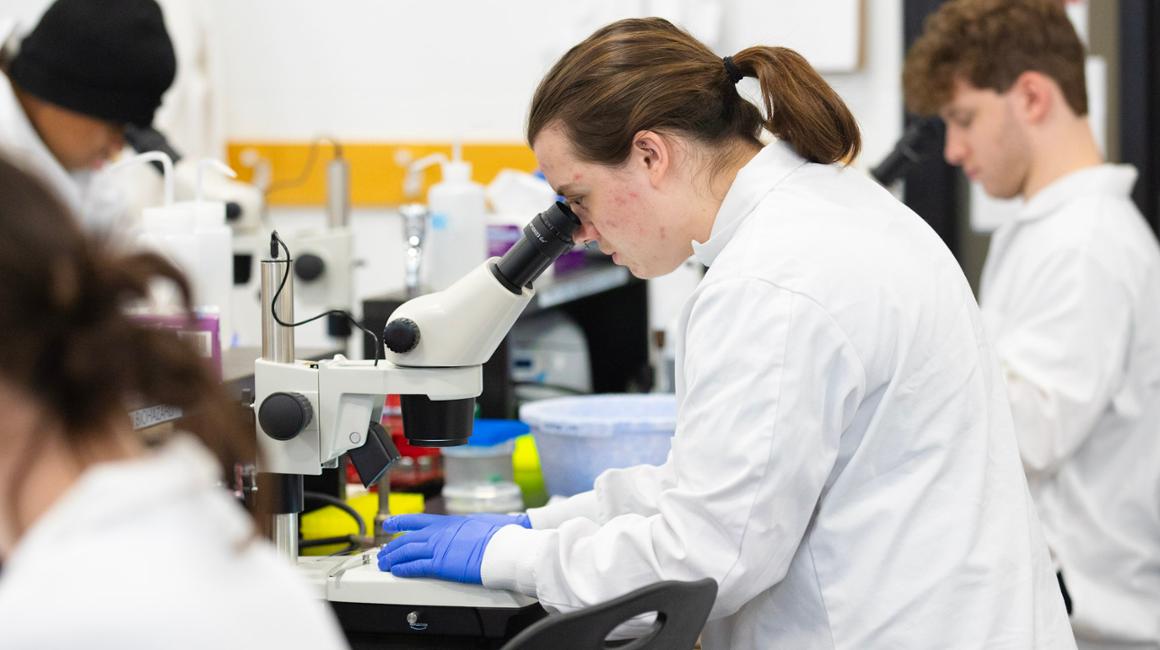 girl looking into a microscope