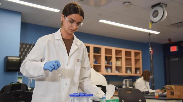 undergraduate student hands