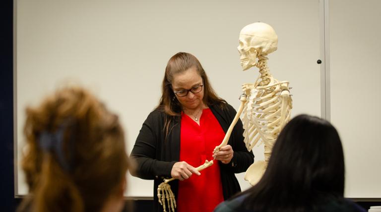Woman teaching in the front of a classroom using a teaching skeleton. 
