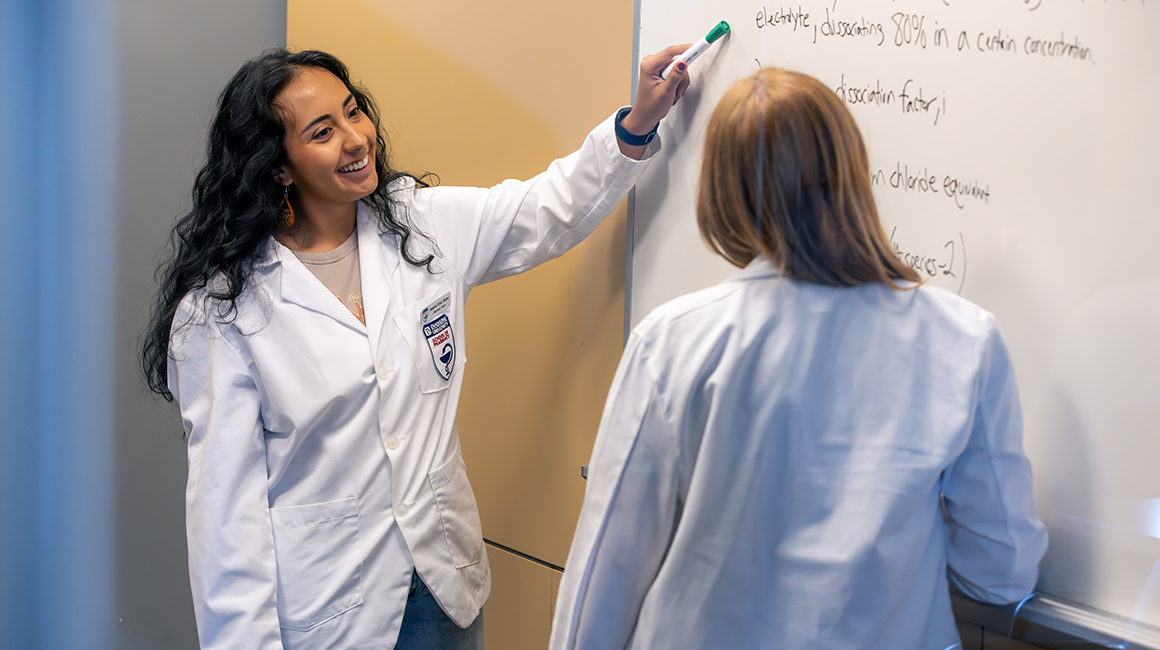 student pharmacists teaching each other