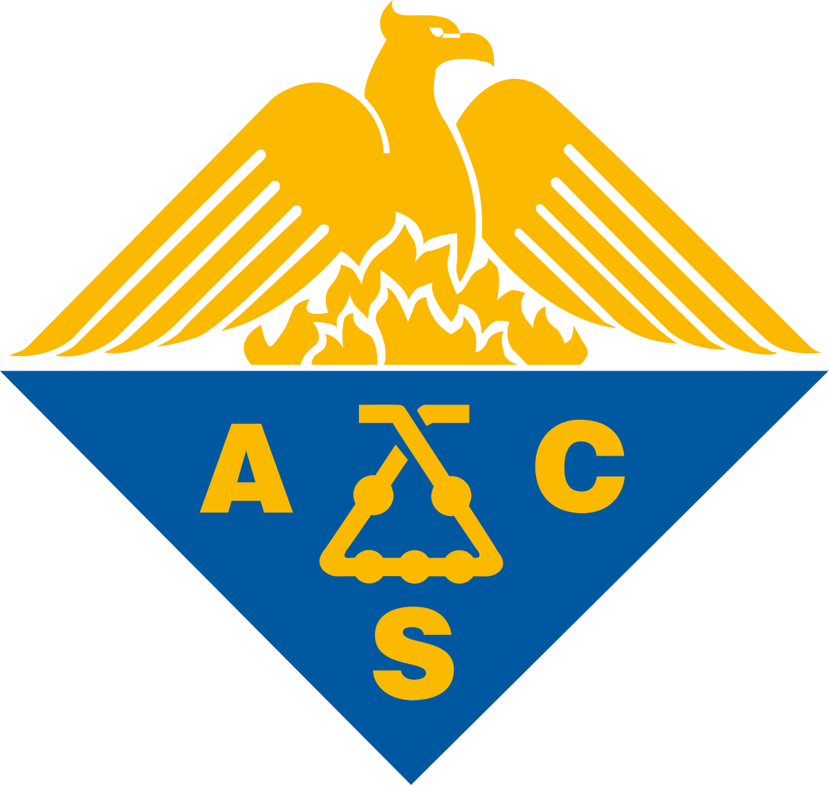 a logo that says ACS