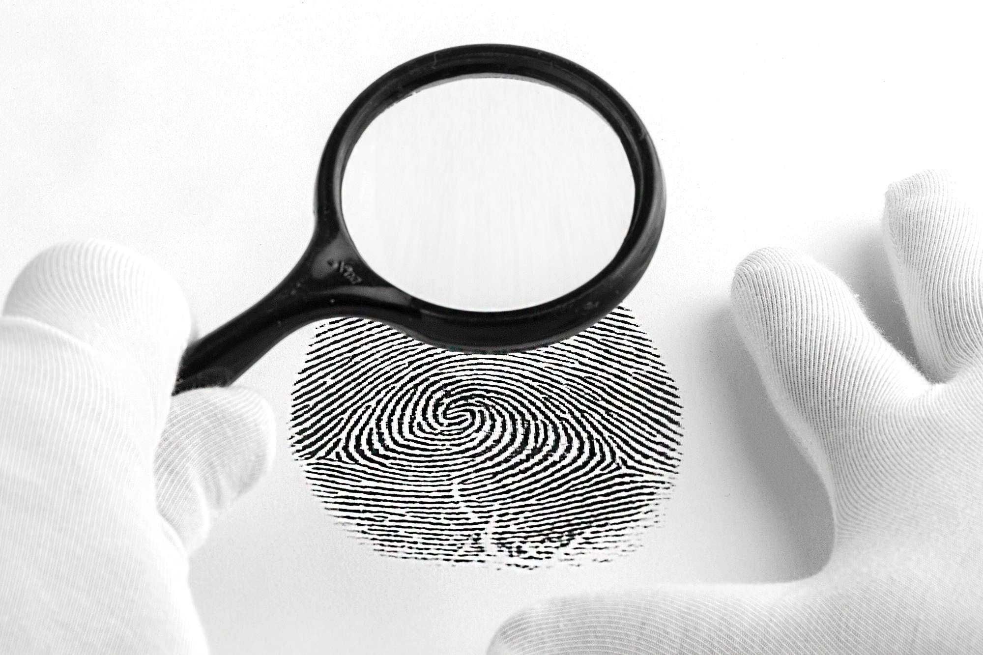 a magnifying glass