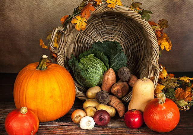 Cornucopia