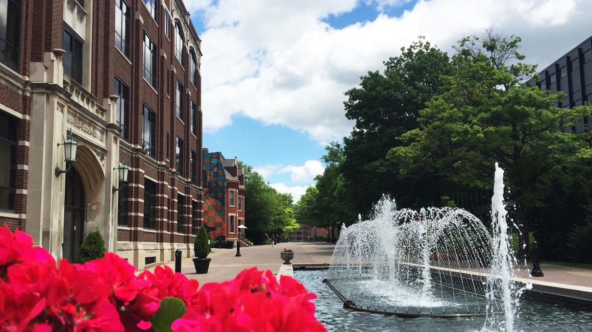 University fountain